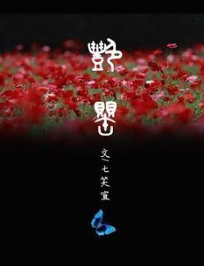 艳罂