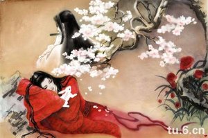 紅娘是個假小受