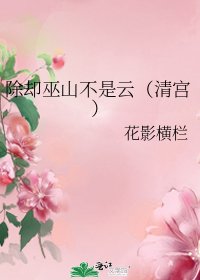 除卻巫山不是雲(清宮)