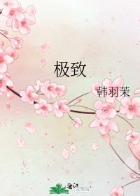 极致